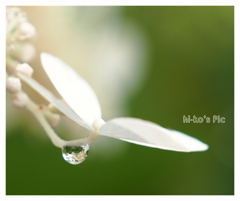 Inside of a drop