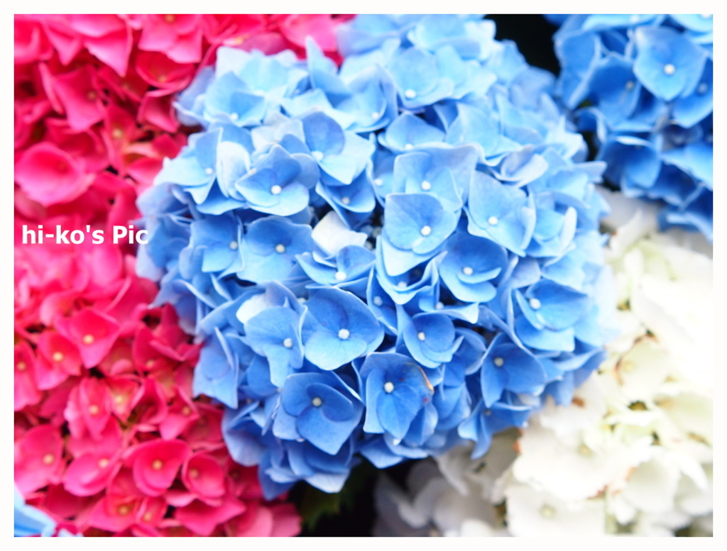 3colors
