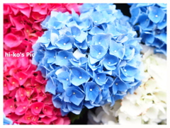 3colors