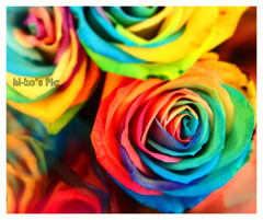 Rainbow