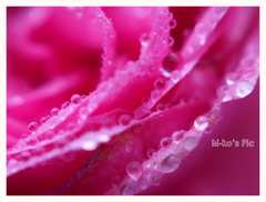 drop