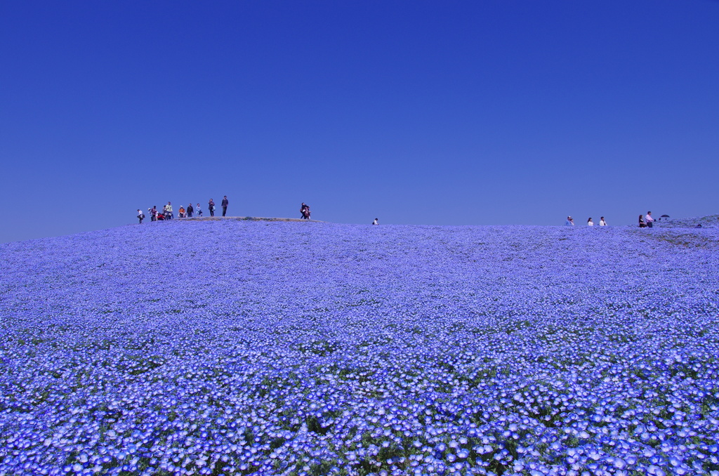 Blue