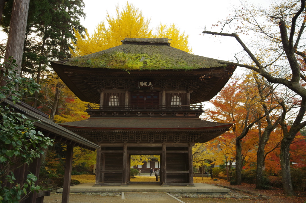 あきる野　広徳寺②