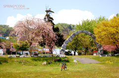 昔からある場所