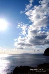 いま夏を生きている