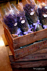 北海道からの贈り物