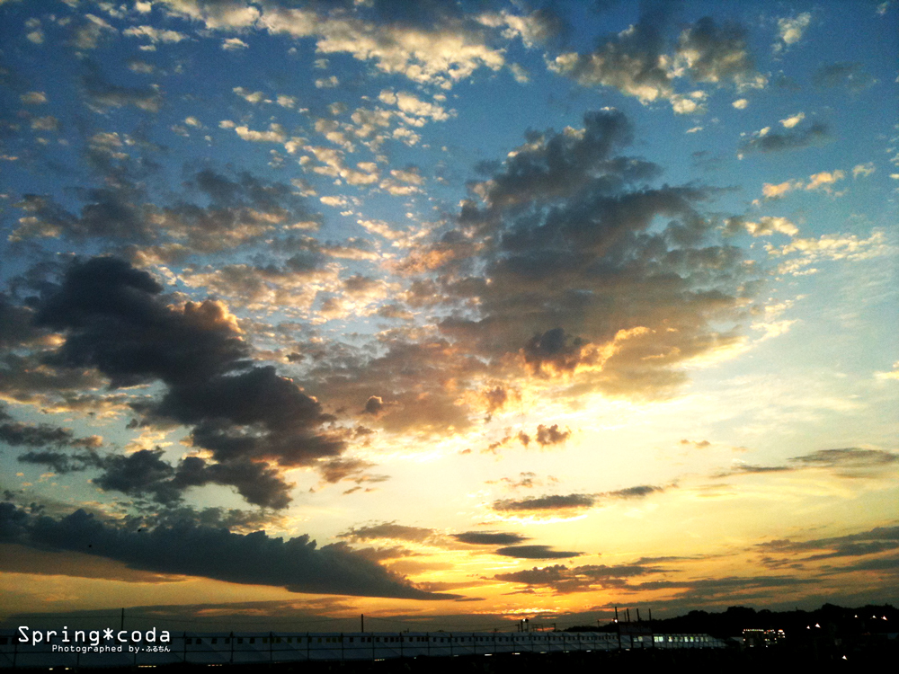 年に一度の大事な日に