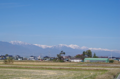 冬将軍接近中
