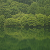 中綱湖