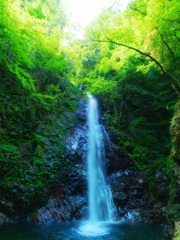滝で涼む