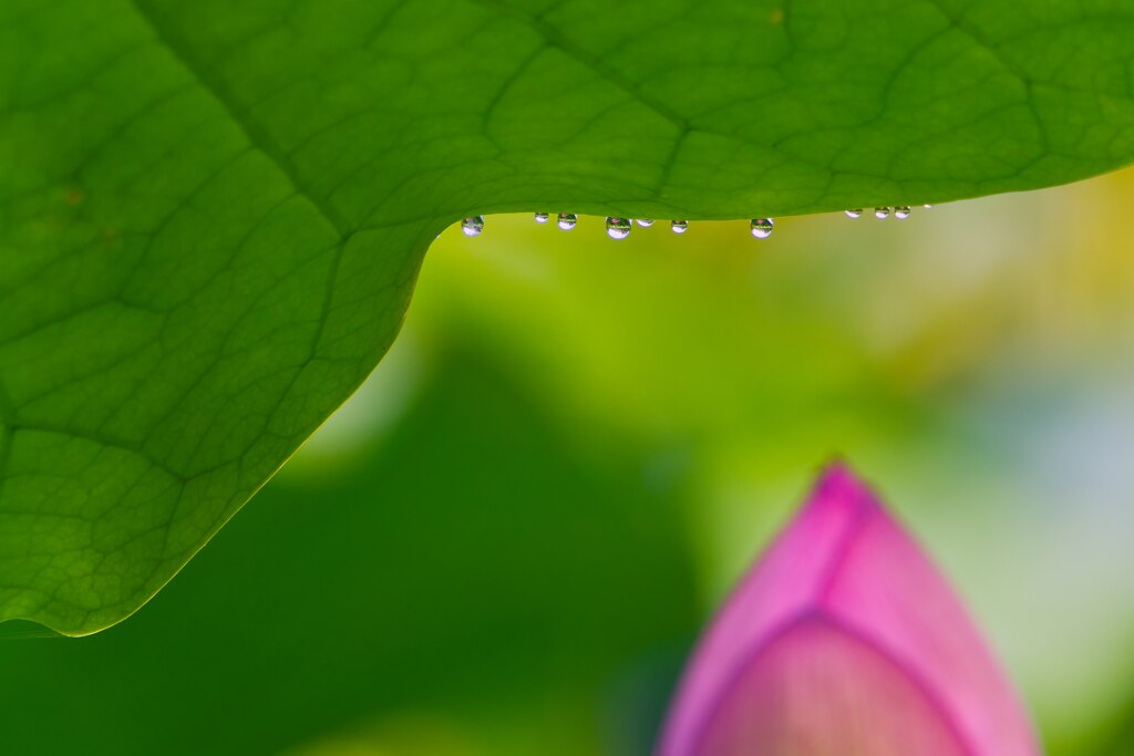 小さな水滴の中に
