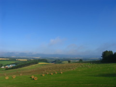 040715_055223