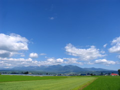 040715_142511