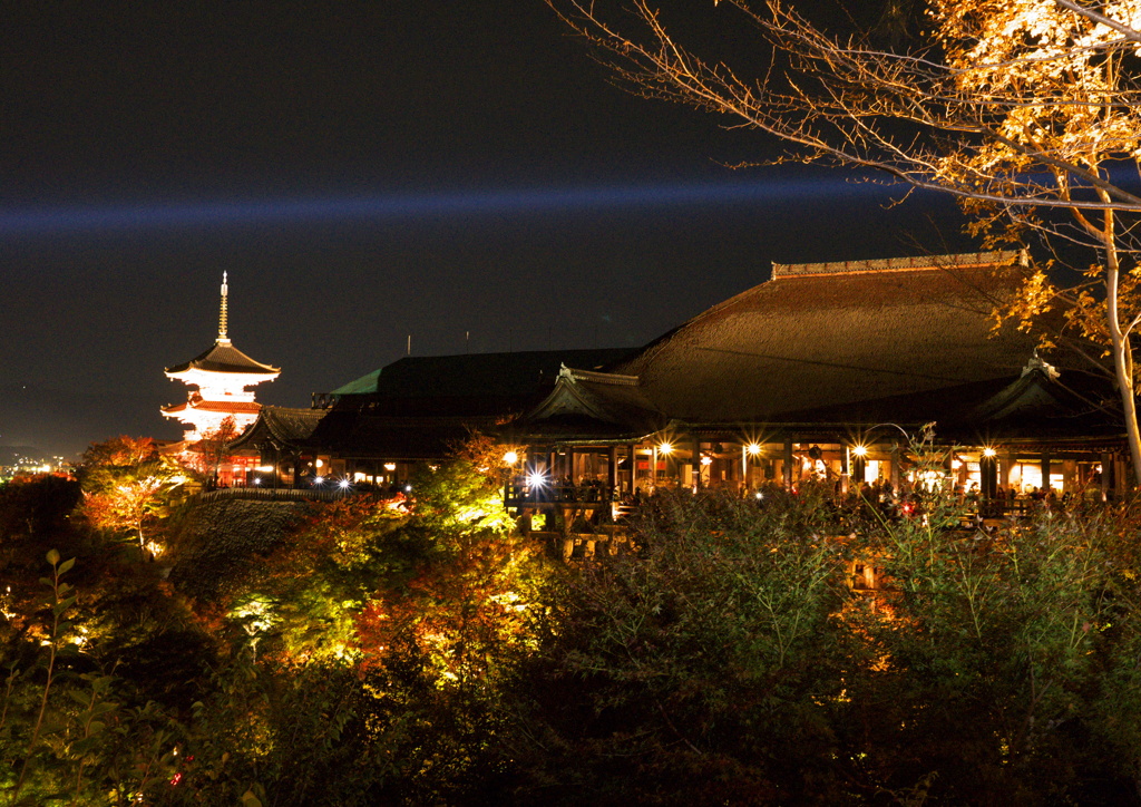清水寺夜間拝観II