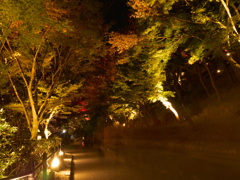 清水寺夜間拝観III