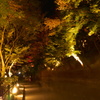 清水寺夜間拝観III