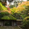 苔生す山門