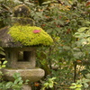 おめかし