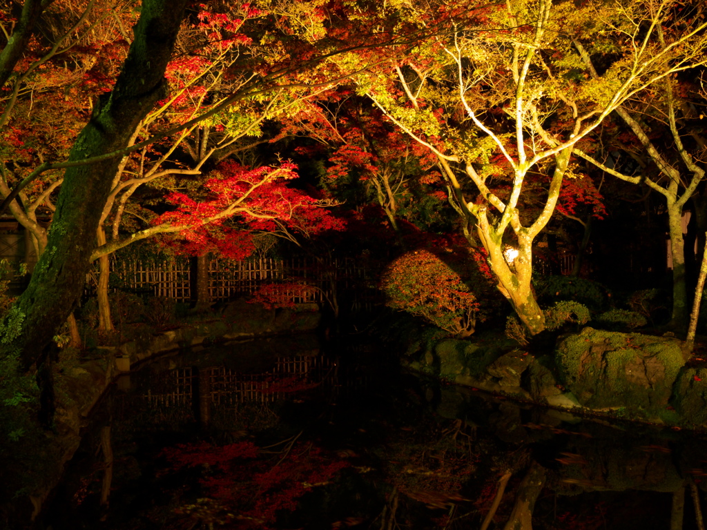 清水寺夜間拝観IV