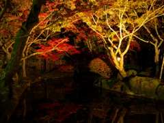 清水寺夜間拝観IV