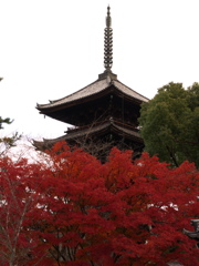 仁和寺五重塔