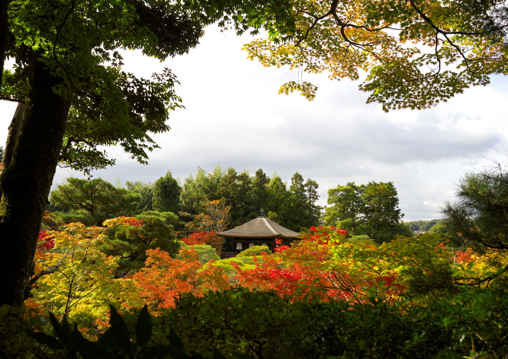 紅葉に沈む
