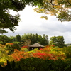 紅葉に沈む