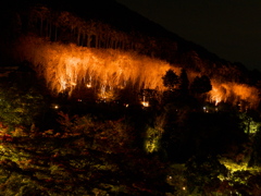 清水寺夜間拝観Ⅰ