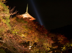 清水寺夜間拝観V