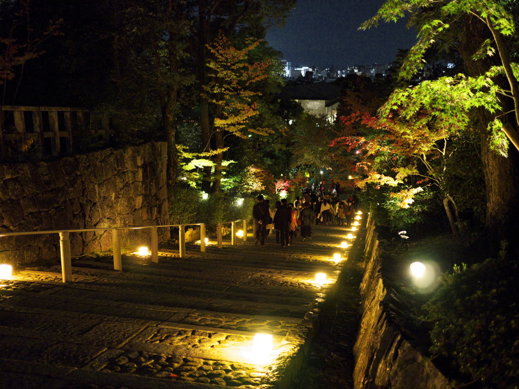 知恩院夜間拝観