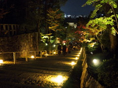 知恩院夜間拝観