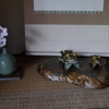 待ち惚け