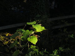 20121124_143023