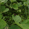 雨上がり