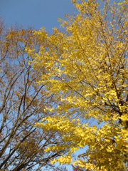 20121124_143320