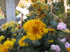 20121124_140521