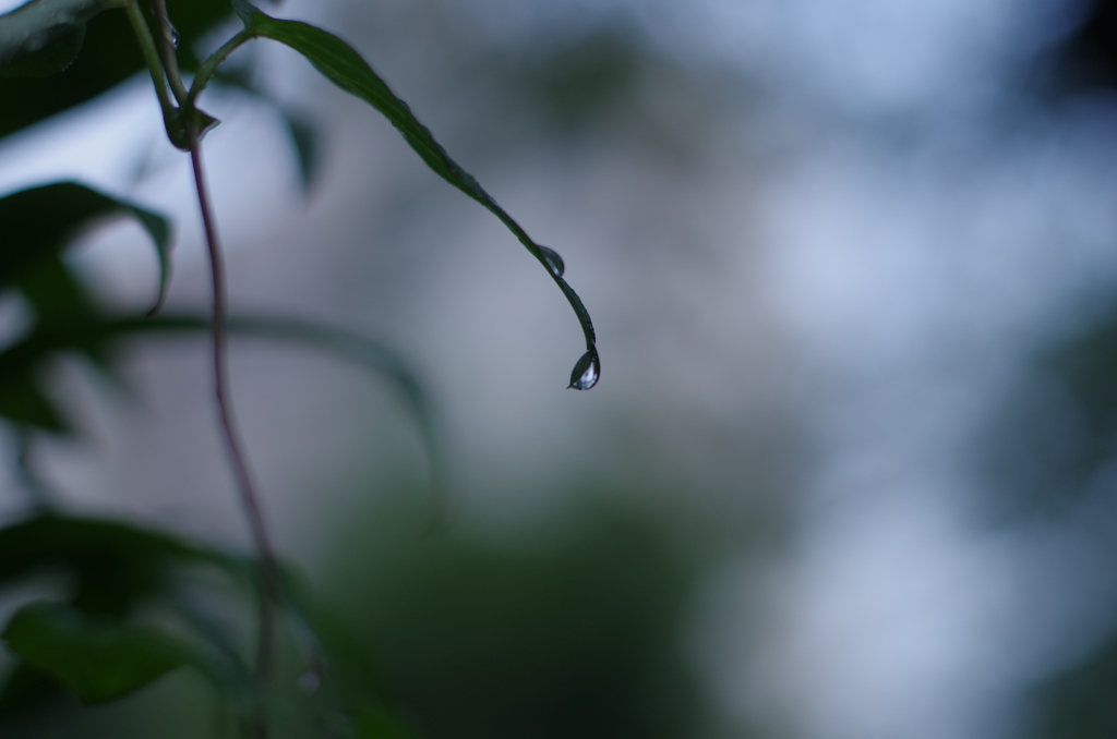 IMGP3077