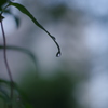 IMGP3077