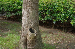 IMGP0129