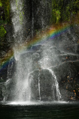 滝に虹