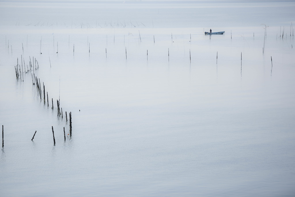 海苔漁