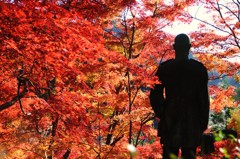 紅葉を見に行った