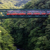 新緑の鉄橋