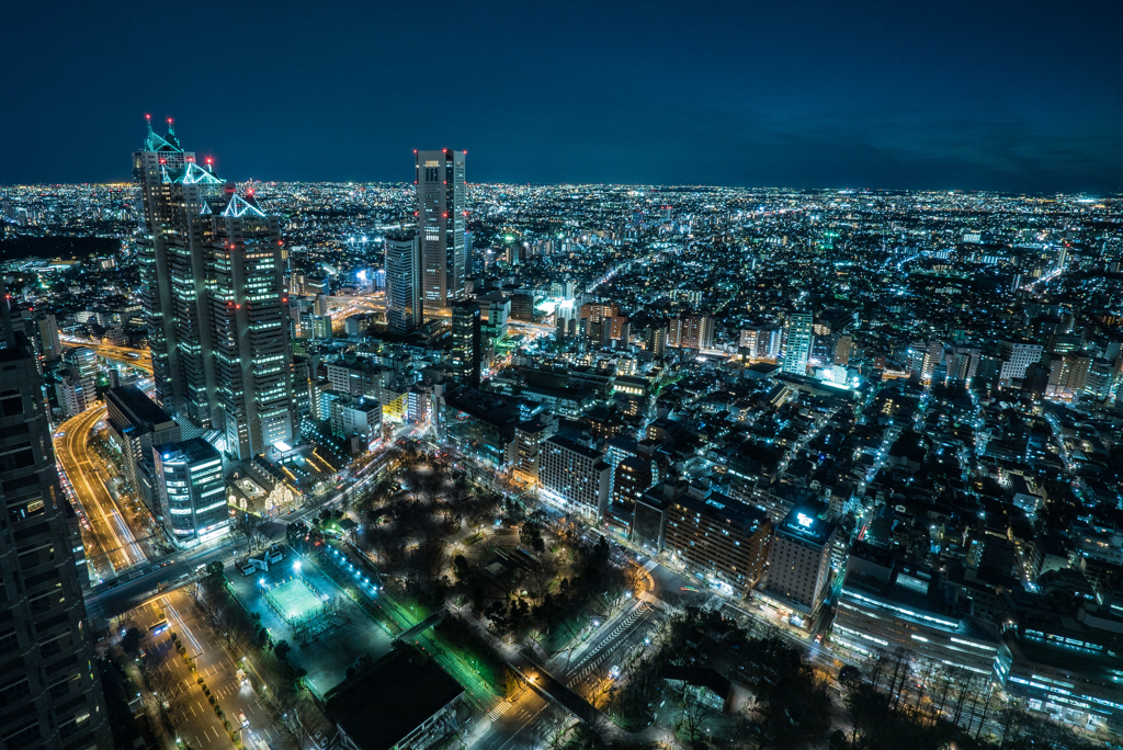 Tokyo night view