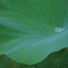 雨上がり