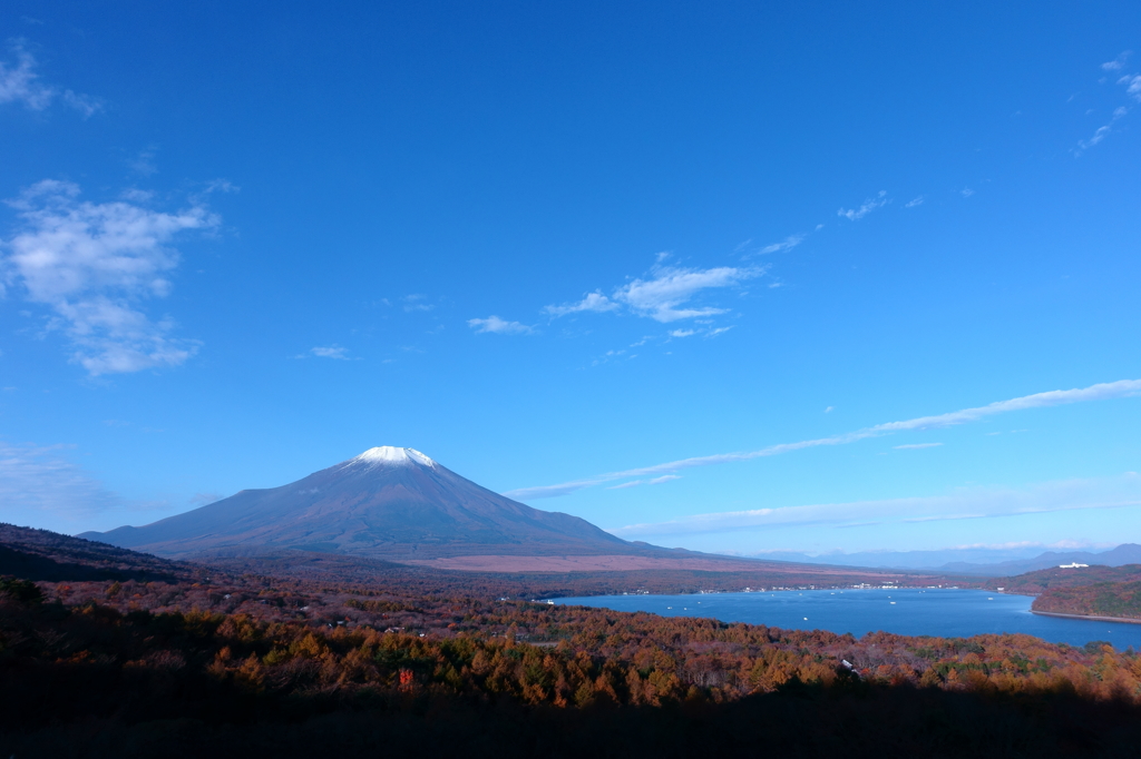 晩秋の朝　富士を臨む