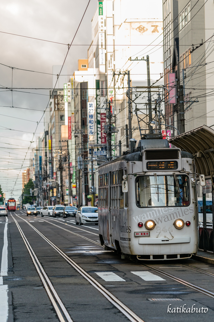 路面電車の日