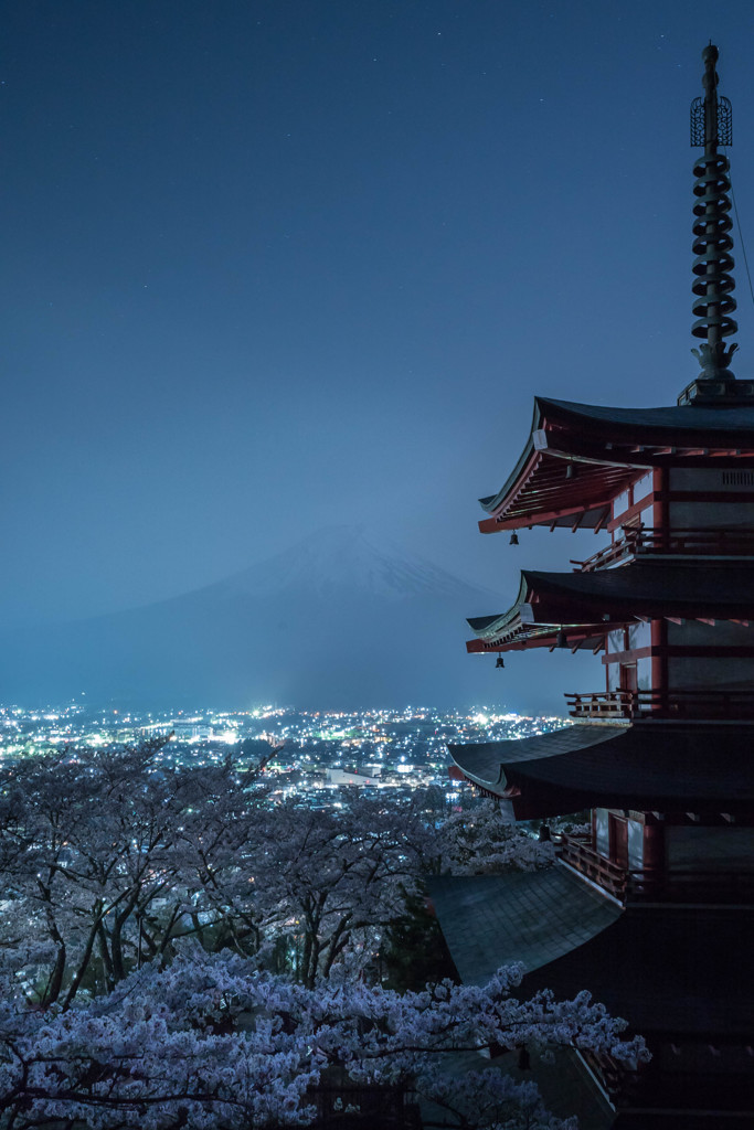 富士吉田の夜桜