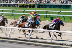 夏競馬の季節