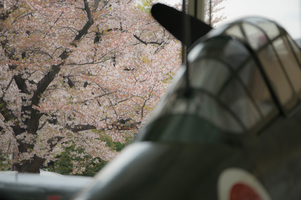 花は九段に満ちて春海のごとし